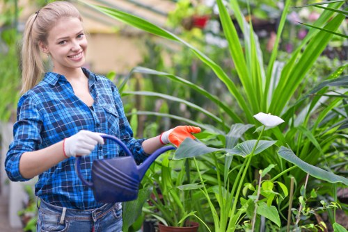 Garden maintenance in Bow with tidy lawn and trimmed hedges
