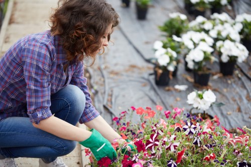 Landscape gardening in Bow with stylish outdoor design