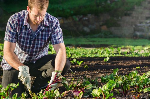 Professional planting services creating a vibrant garden in Bow