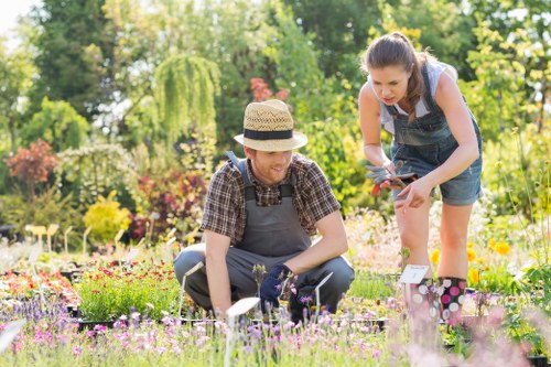 Customer complaint review for landscaping work