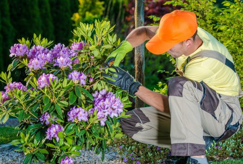 Bow landscapers planning a balanced garden layout