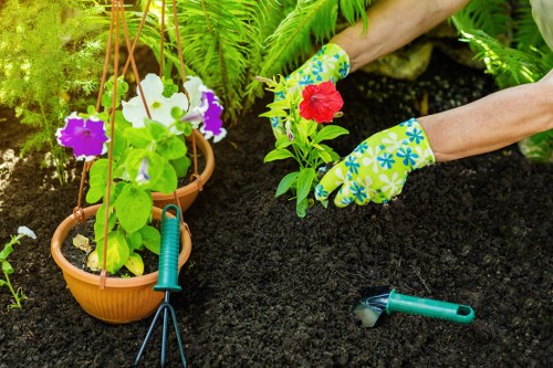 Illustration of cookies and website settings for Landscapers Bow