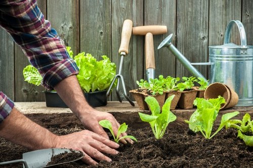 Local lawn maintenance in Bow