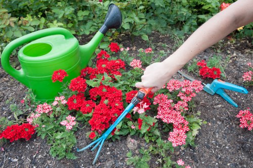 Removing branches and green waste during Bow garden clearance