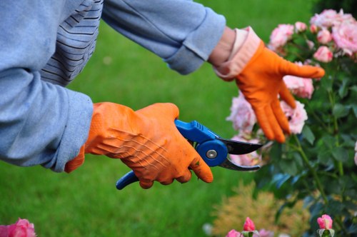 Professional garden care in Bow for a neat outdoor space
