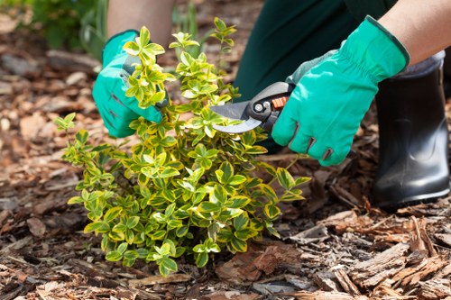 Urban garden lawn improvement in Bow