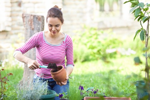 Planning landscaping in Bow for a stylish urban garden
