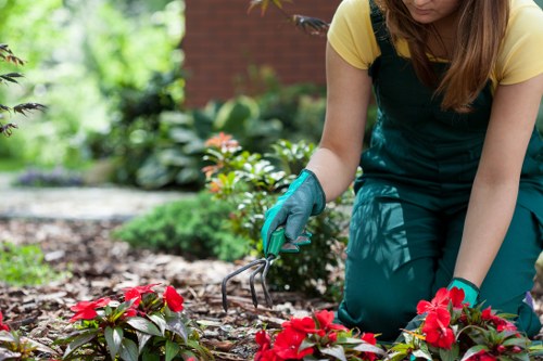 Landscapers Bow safety-focused rubbish removal service with protective equipment