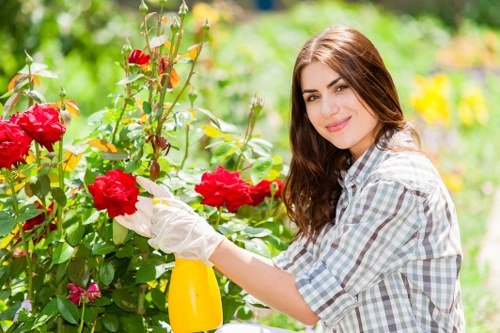 Free quote policy for Bow rubbish company pricing