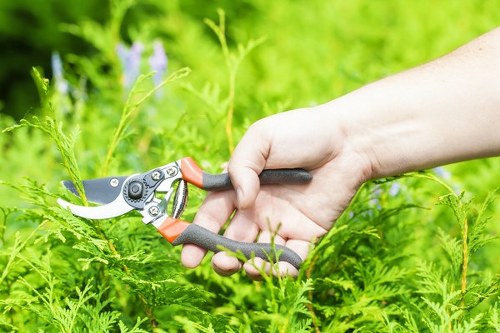 Timber fence maintenance and repair in a Bow garden