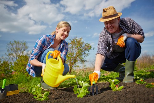 Inclusive browsing experience for Landscapers Bow