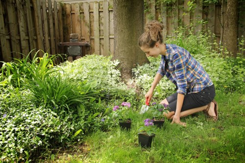 Bow garden landscaping with paving, planting, and fencing