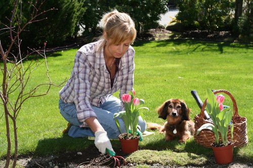Creative flower bed creation in Bow with seasonal flowers