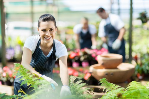 Documented issue assessment for garden service